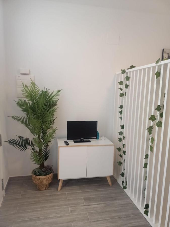 Estudio 28 Febrero